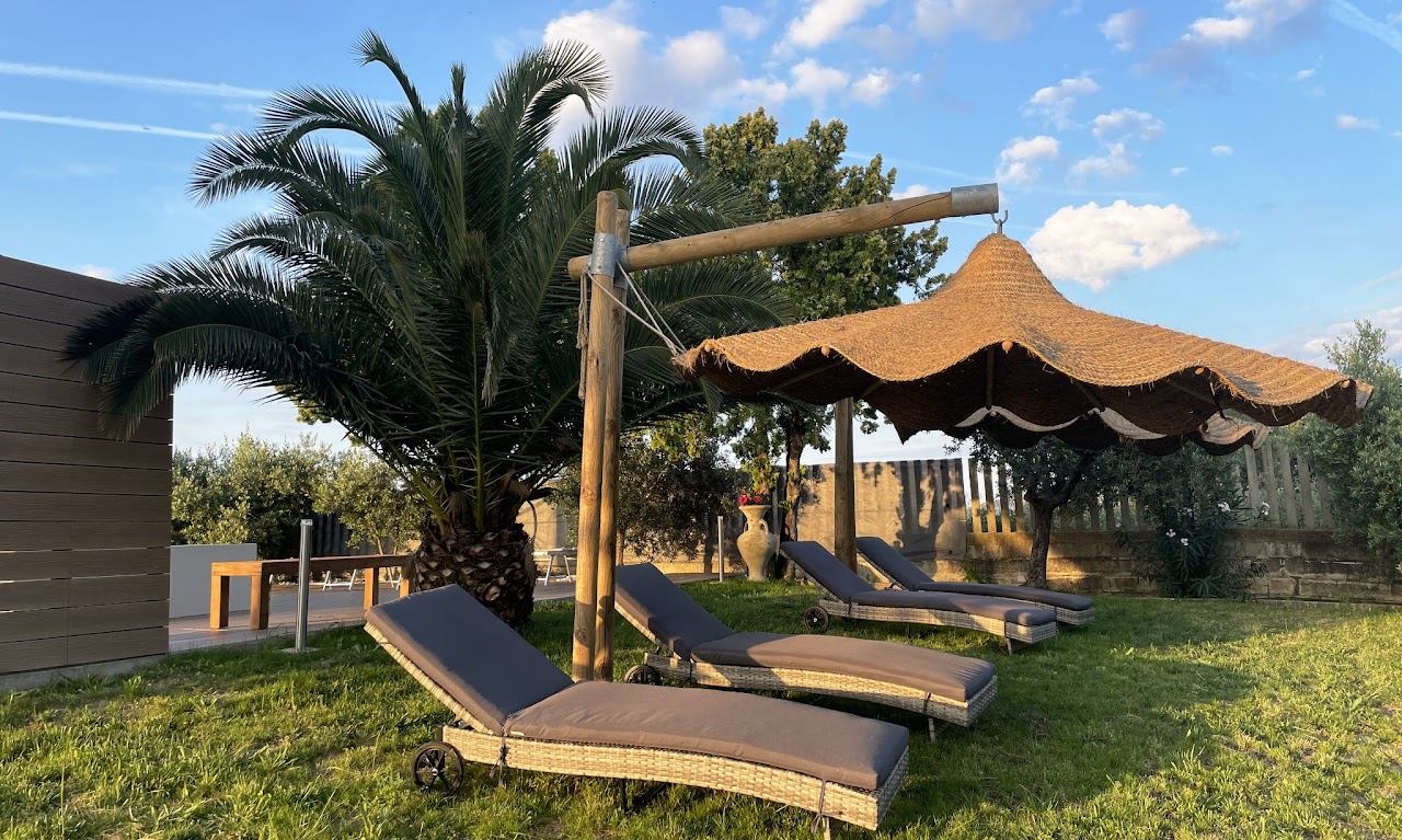 Il B&B Luci della Collina immerso tra gli ulivi con vista mare a Tortoreto