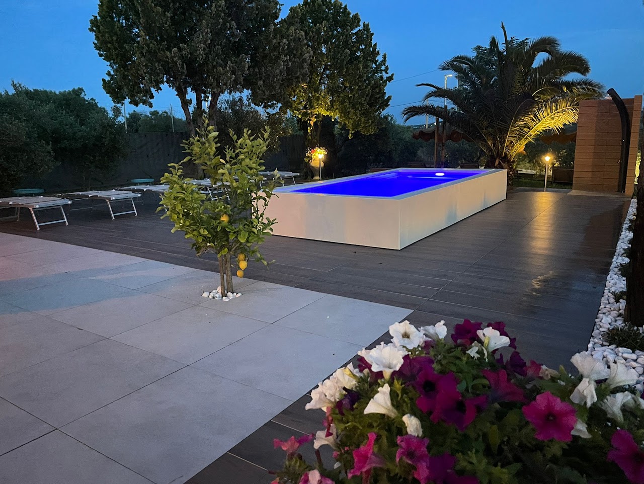 Il B&B Luci della Collina immerso tra gli ulivi con vista mare a Tortoreto
