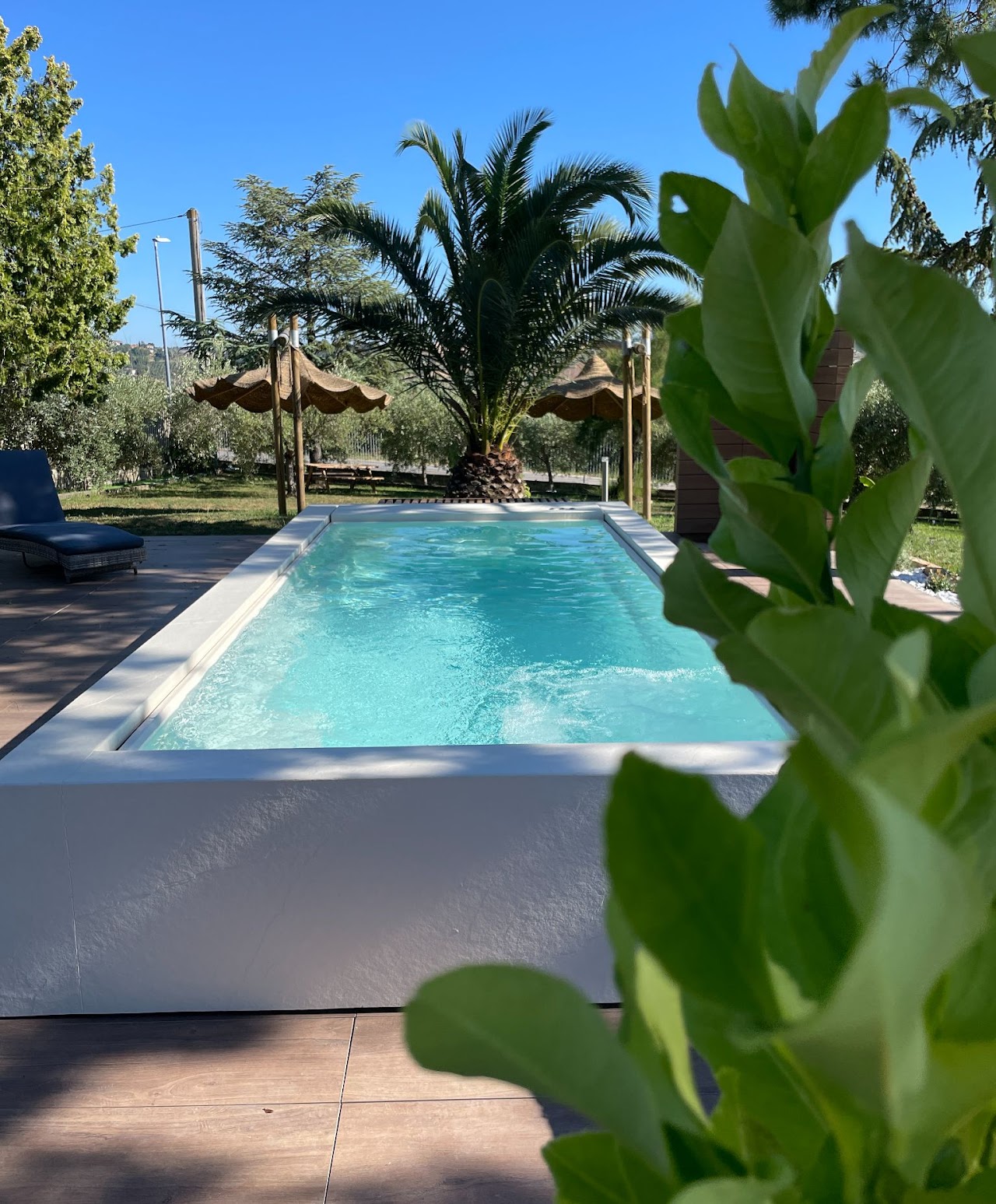 Il B&B Luci della Collina immerso tra gli ulivi con vista mare a Tortoreto