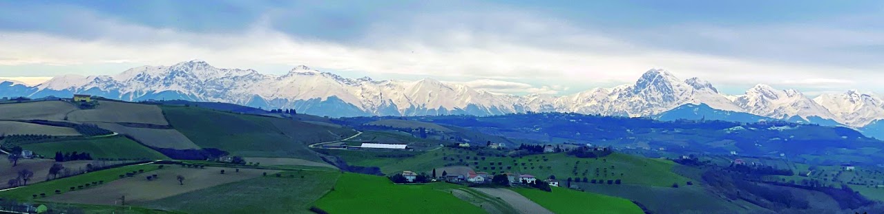 Il B&B Luci della Collina immerso tra gli ulivi con vista mare a Tortoreto