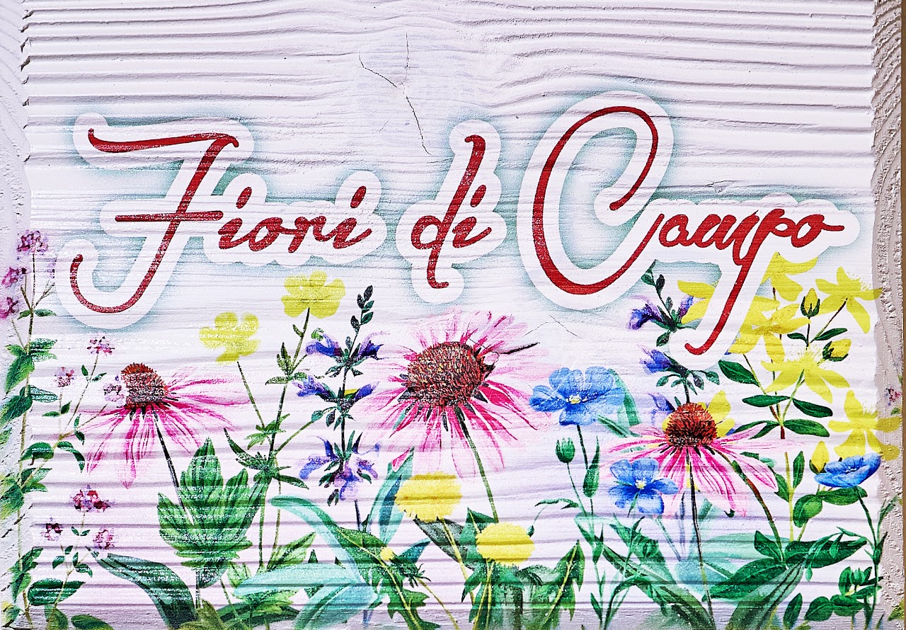 Camera Fiori di Campo del B&B Luci della Collina a Tortoreto
