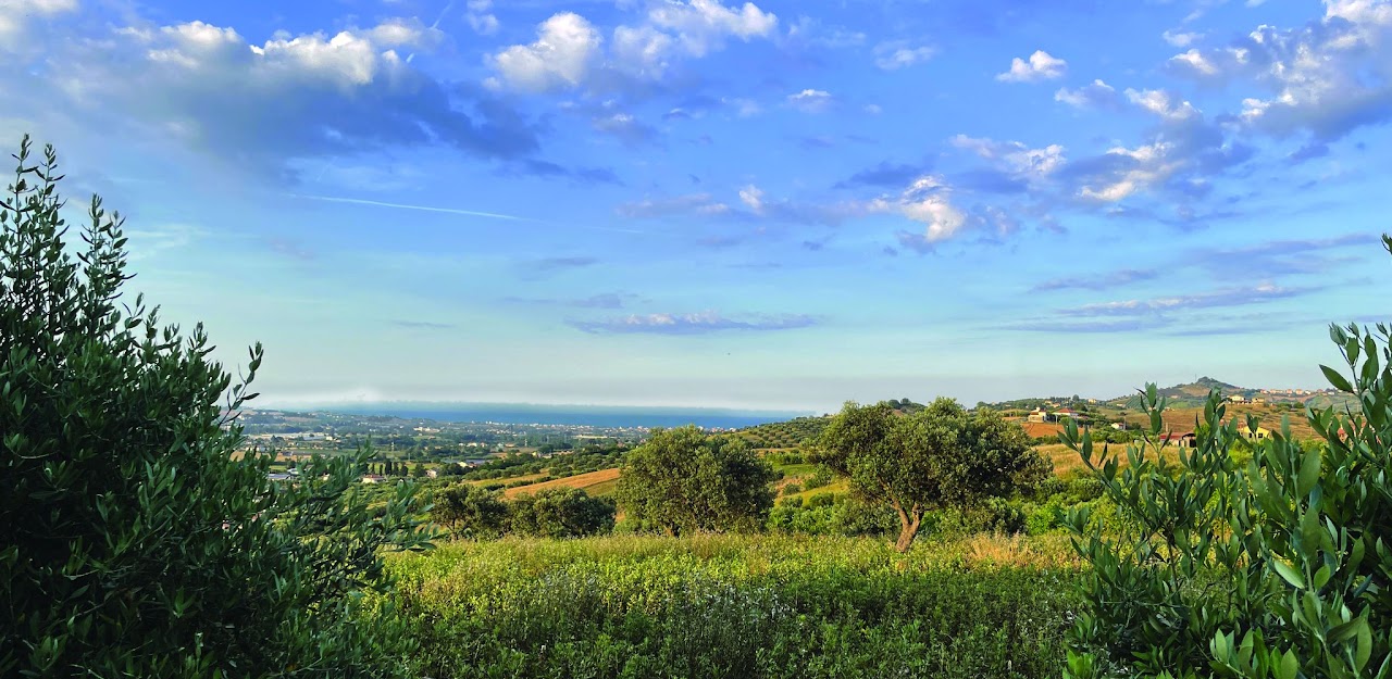 Panorama sulle colline e sul mare di Tortoreto dal B&B Luci della Collina